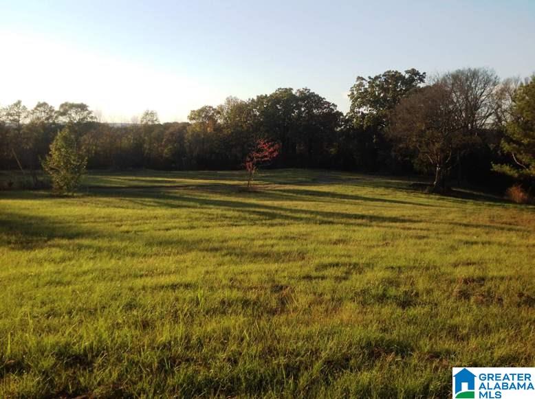 5730 Rockdale Road Bessemer, AL 35022 - Photo 1 of 12