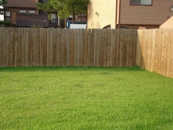 a view of a backyard