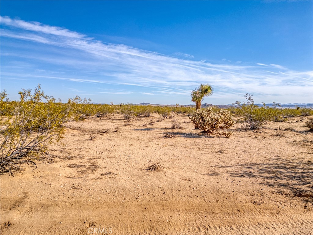 62725 2 Mile Road Joshua Tree, CA 92252 - Photo 28 of 63 Gallery Image 28
