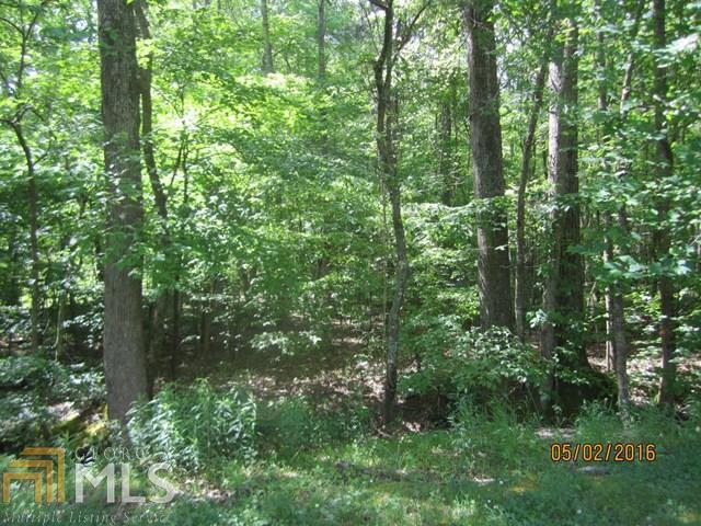 0 Mauk Road, Unit 6 Buchanan, GA 30113 - Photo 1 of 1