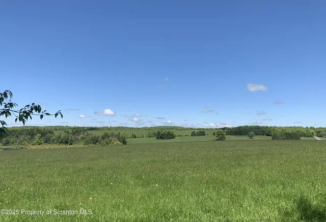 a view of a field with an trees