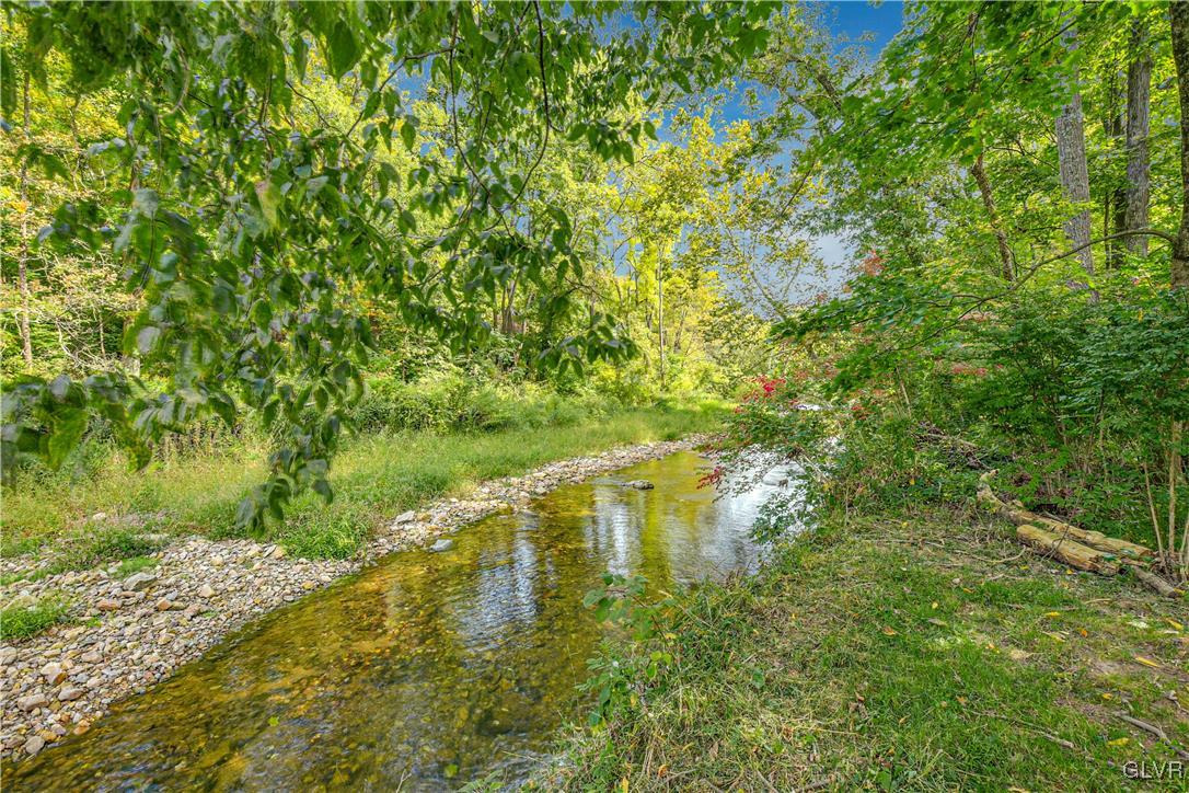 281 Old Furnace Road Riegelsville, PA 18077 - Photo 29 of 29 a view of a lake with a tree