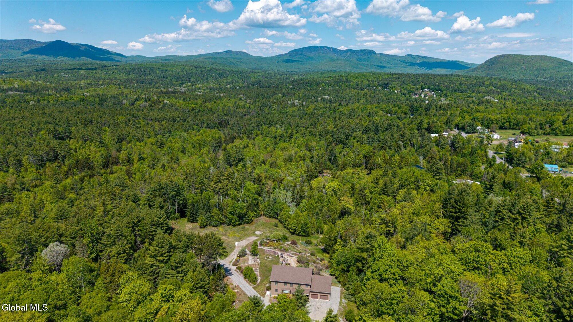 1603 South Johnsburg Road Johnsburg, NY 12843 - Photo 12 of 55 03-ADK-3