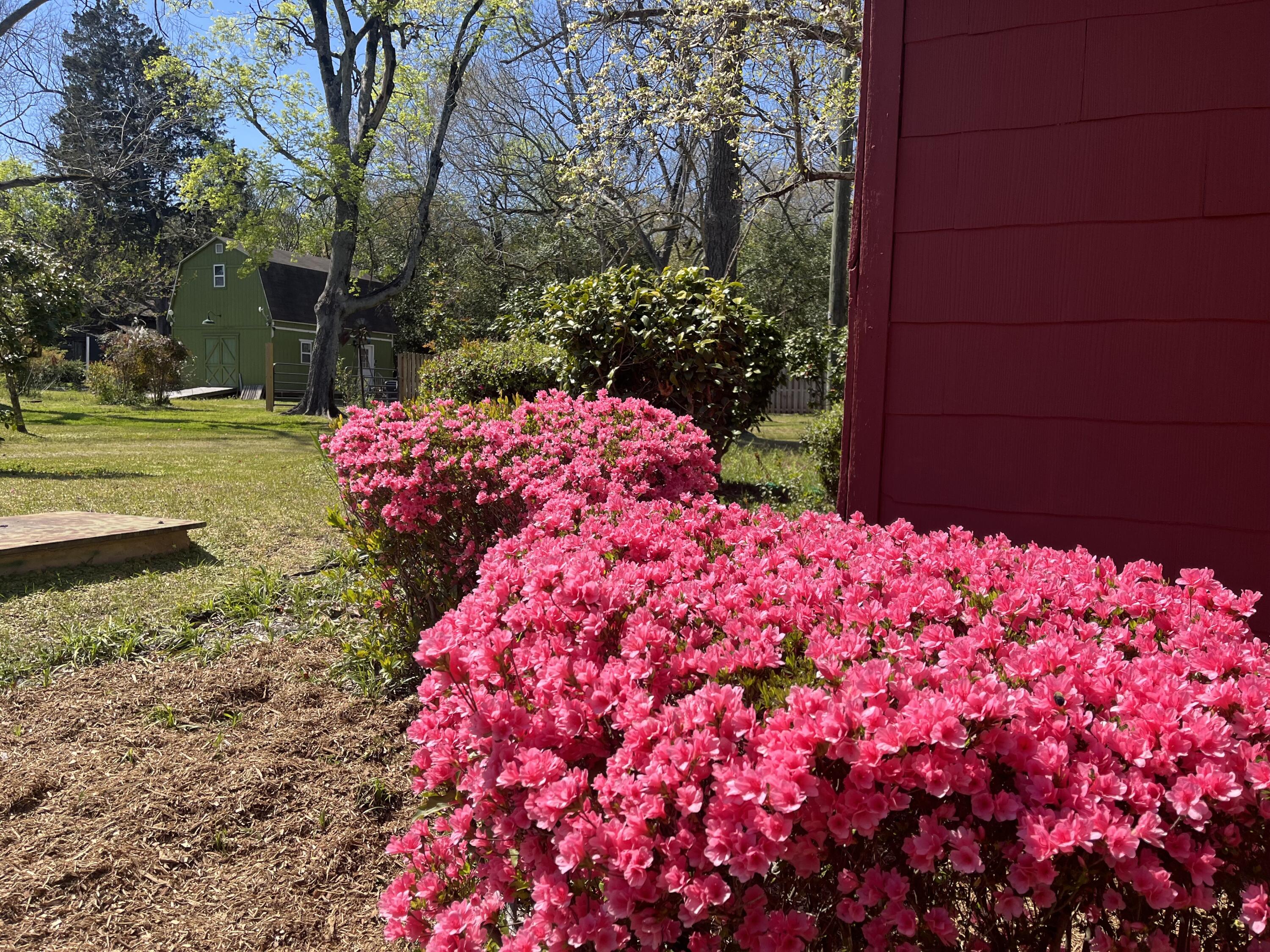 4531 Rosemary Street Williston, SC 29853 - Photo 40 of 56 4531 Rosemary New Photo 2
