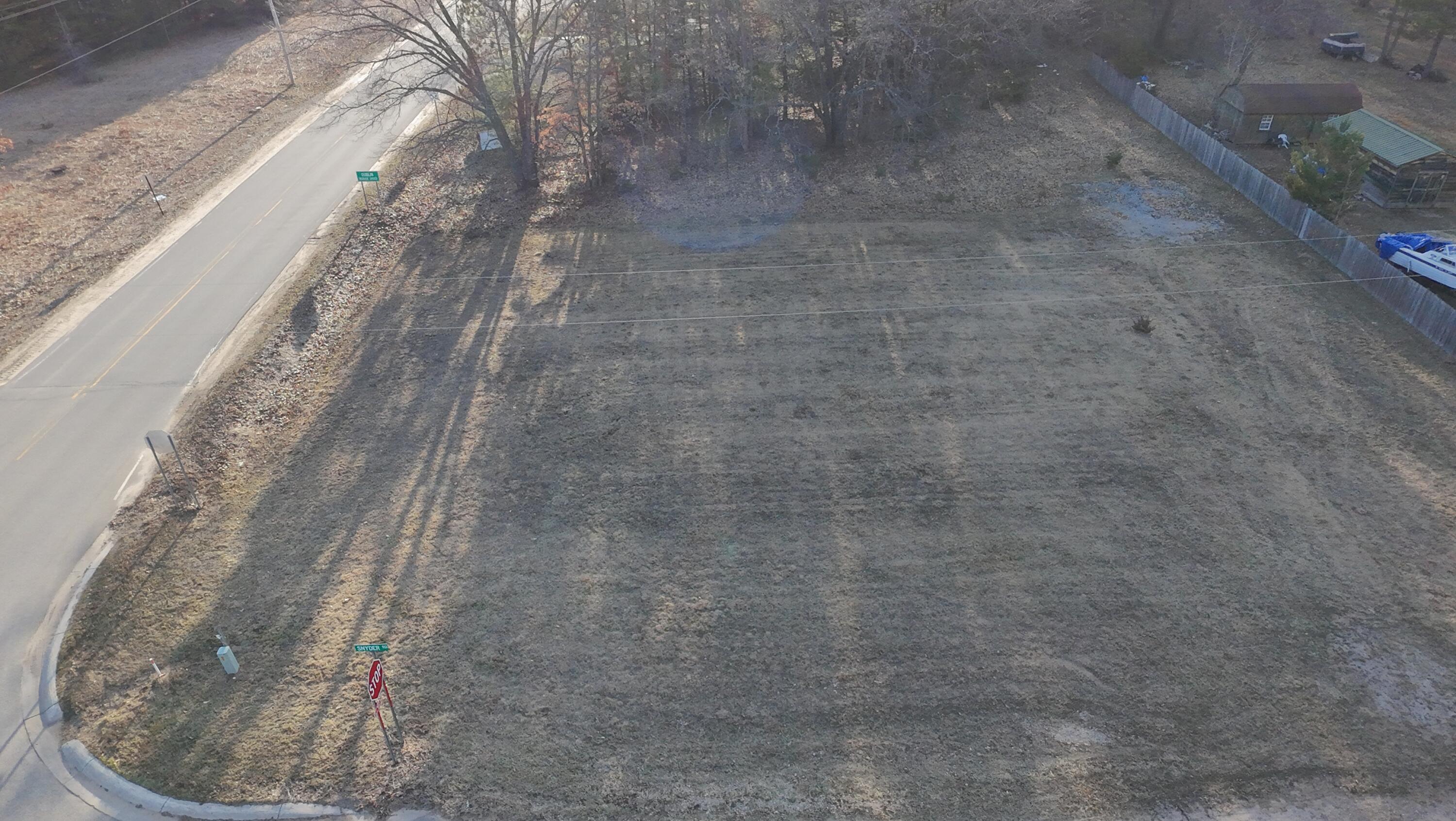 3976 Snyder Road Wellston, MI 49689 - Photo 3 of 9 Facing West from Snyder Rd