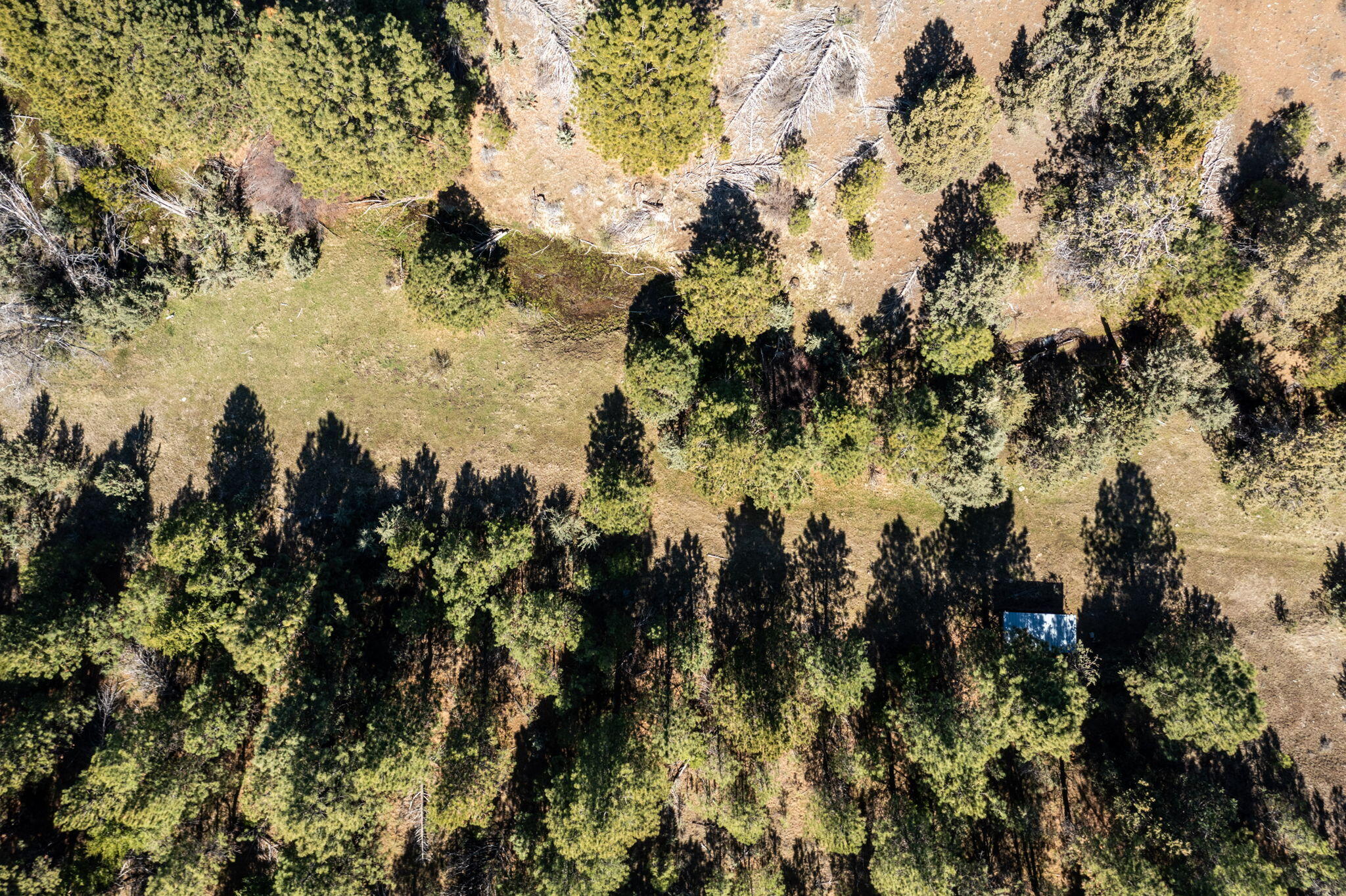 0 Southeast Grizzly Road, Unit 1215000000100 Madras, OR 97741 - Photo 28 of 39 a view of water covered with large trees