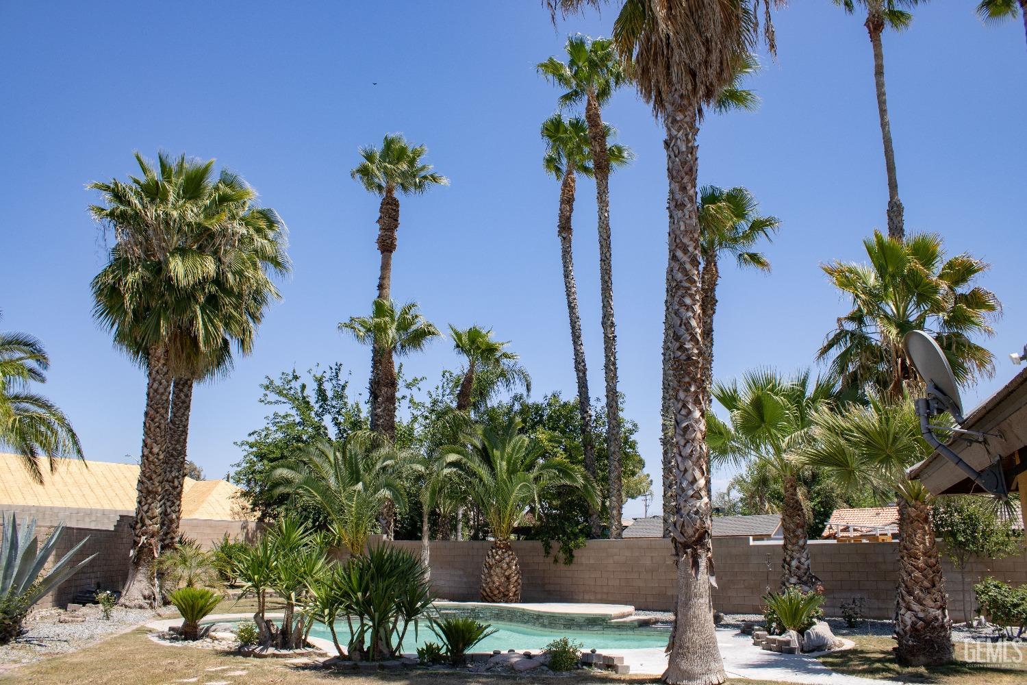 Undisclosed Address Bakersfield, CA 93307 - Photo 39 of 46 a view of a palm tree with flower plants