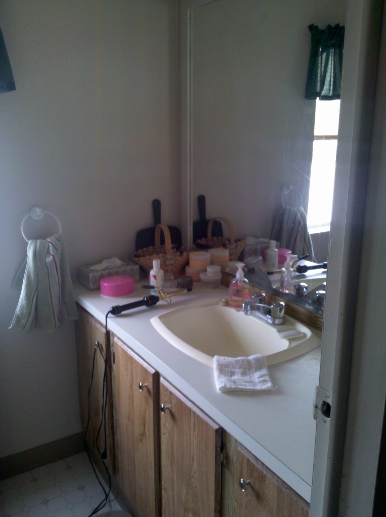 19755 East Briggs Road Florence, AZ 85132 - Photo 18 of 22 MASTER BATH