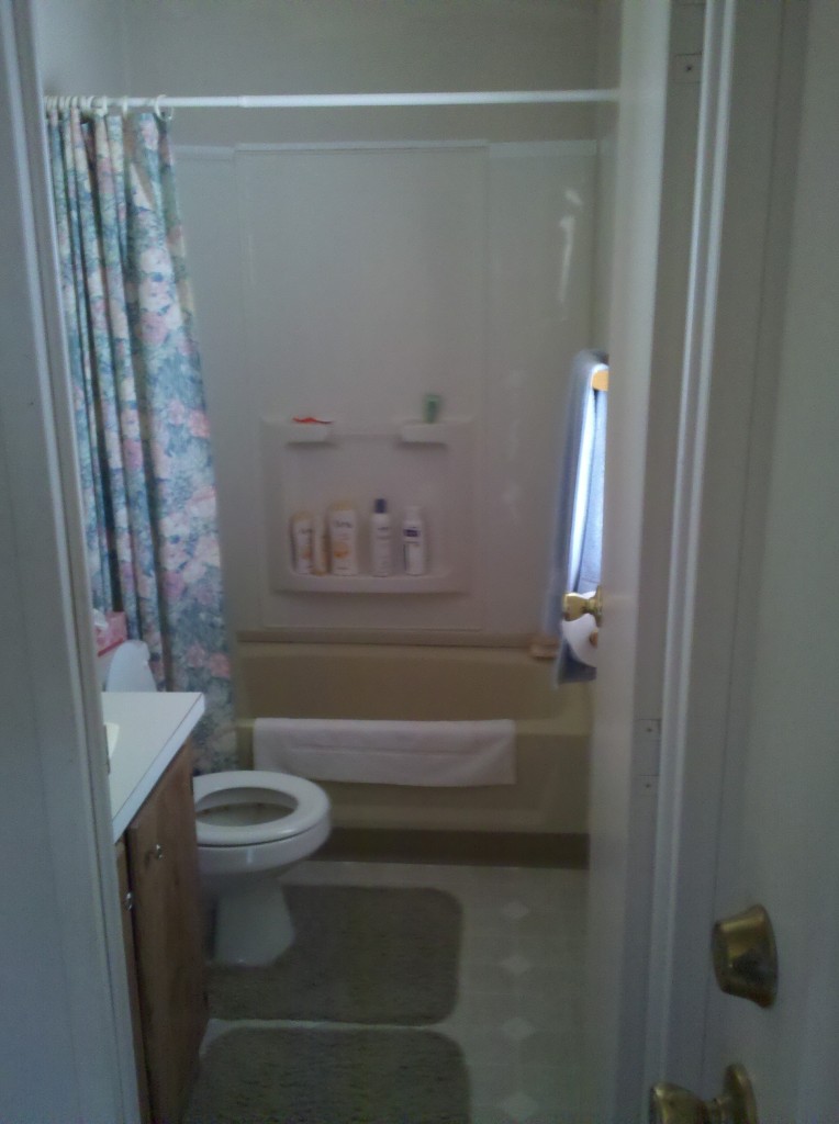 19755 East Briggs Road Florence, AZ 85132 - Photo 7 of 22 hall bath