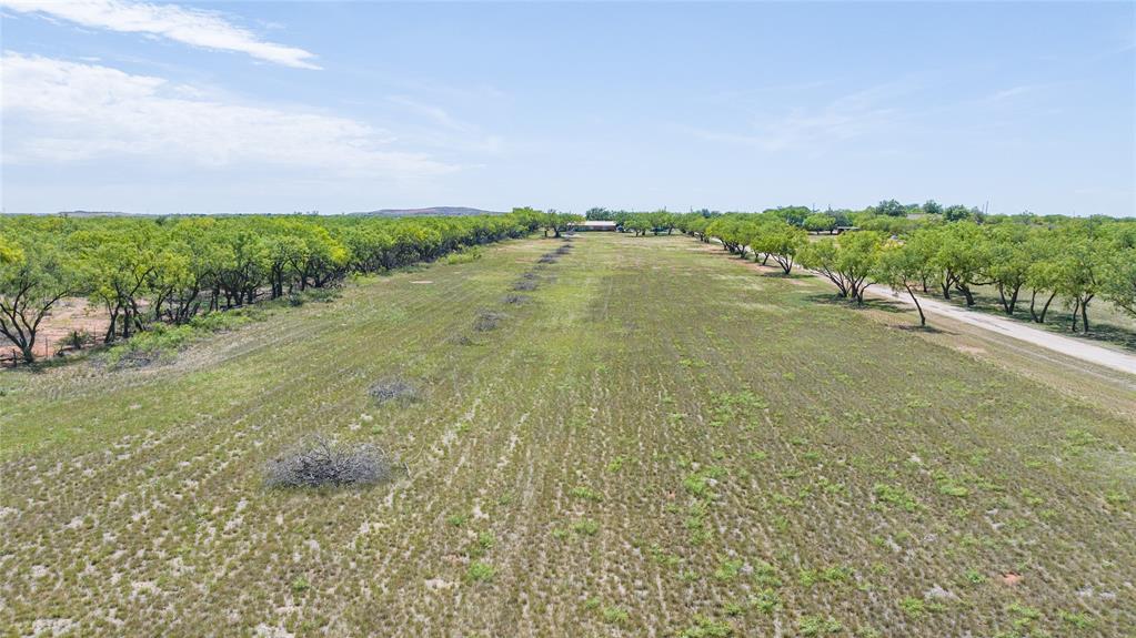 6702 West Lake Road Abilene, TX 79601 - Photo 3 of 21 a yard with lake view