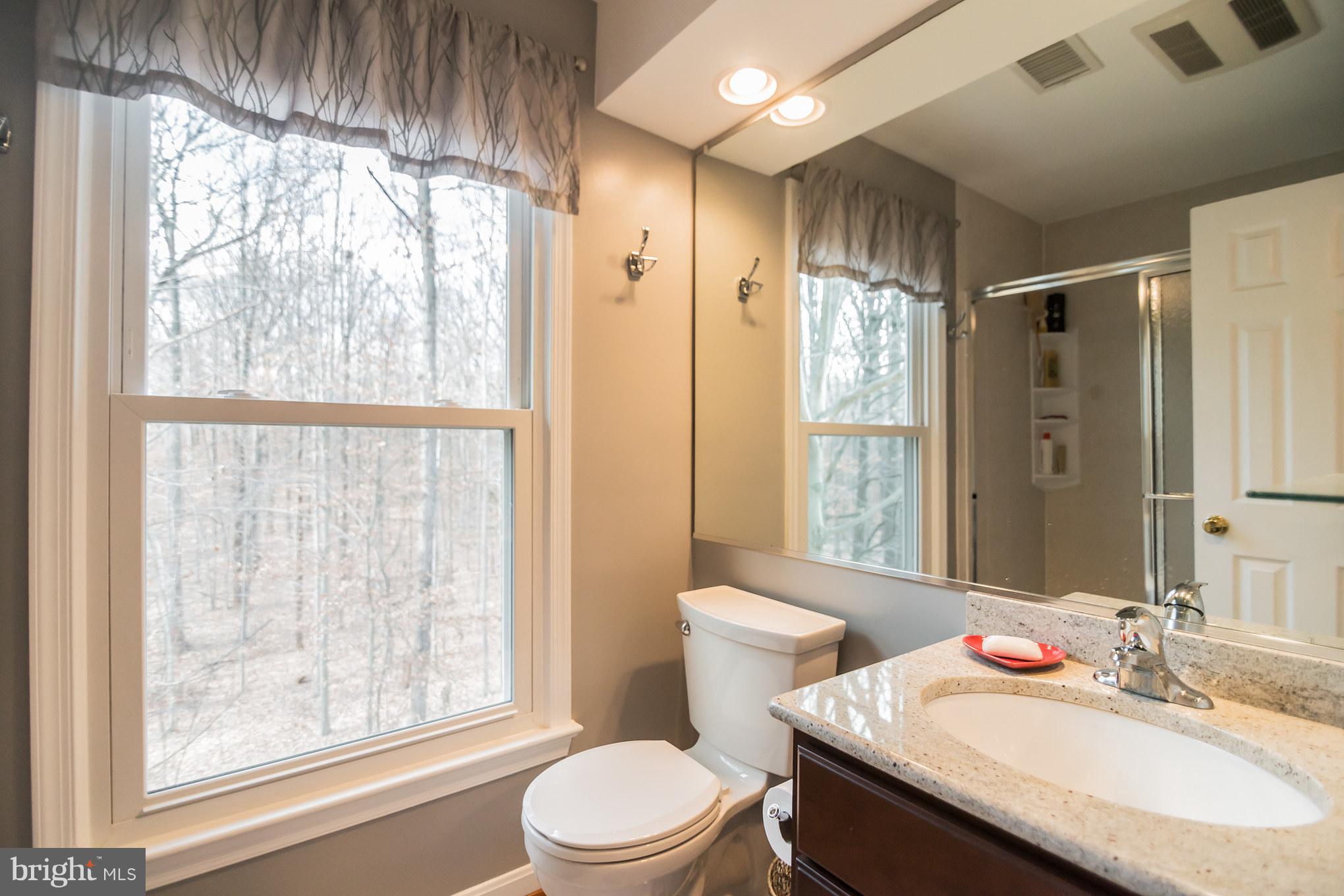 13016 Smoketown Road Woodbridge, VA 22192 - Photo 23 of 30 a bathroom with a sink a toilet a large mirror and a large window