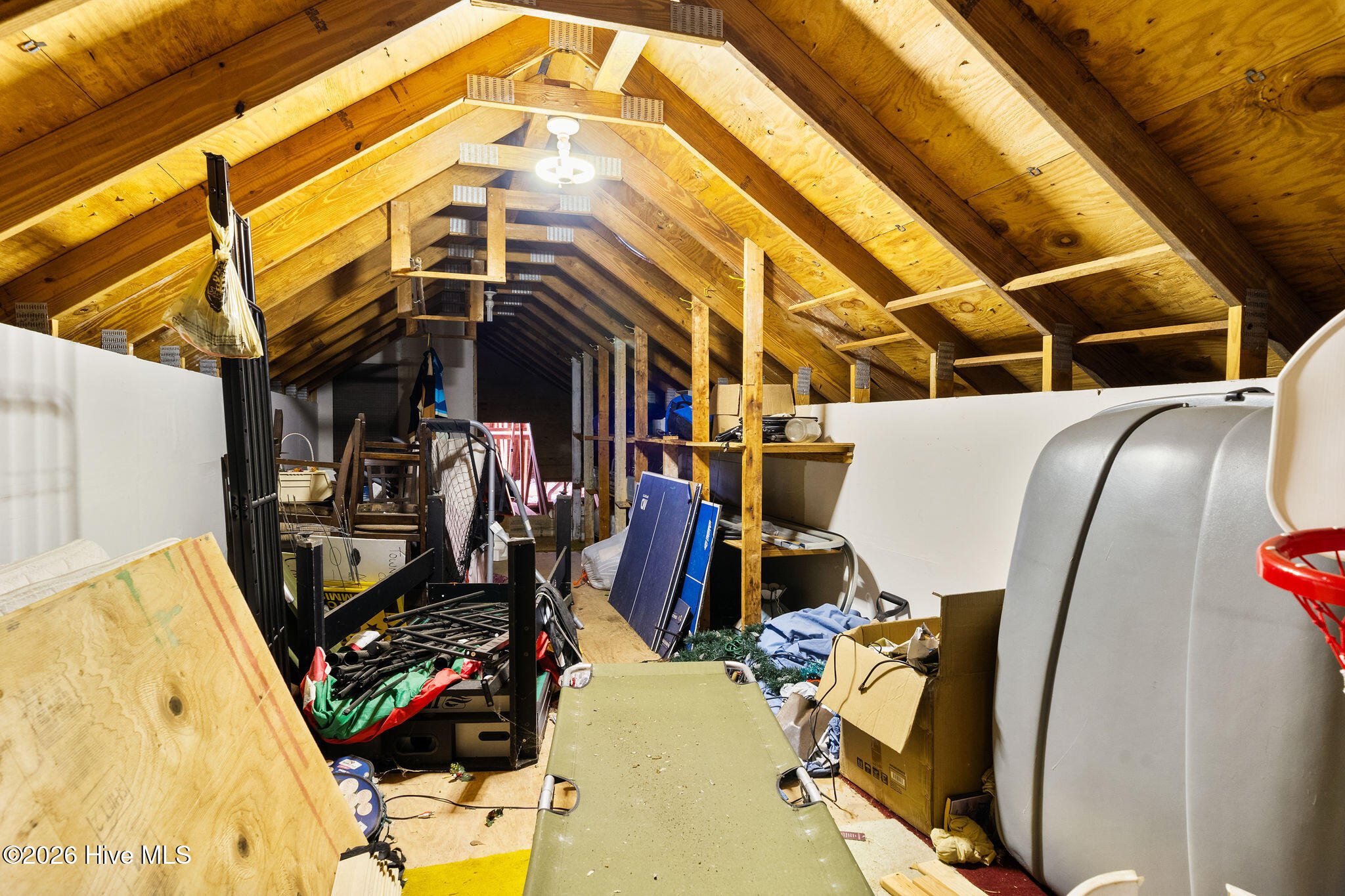 114 Maple Street Warsaw, NC 28398 - Photo 25 of 29 attic & storage