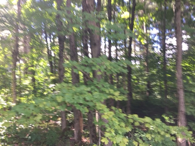 0 Eden Road Lowell, VT 05820 - Photo 4 of 10