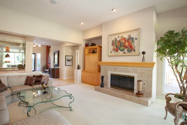 a living room with furniture a fireplace and a potted plant