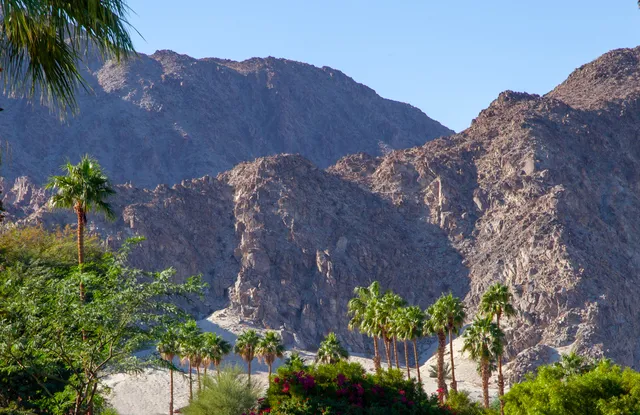 a view of a backyard with a garden