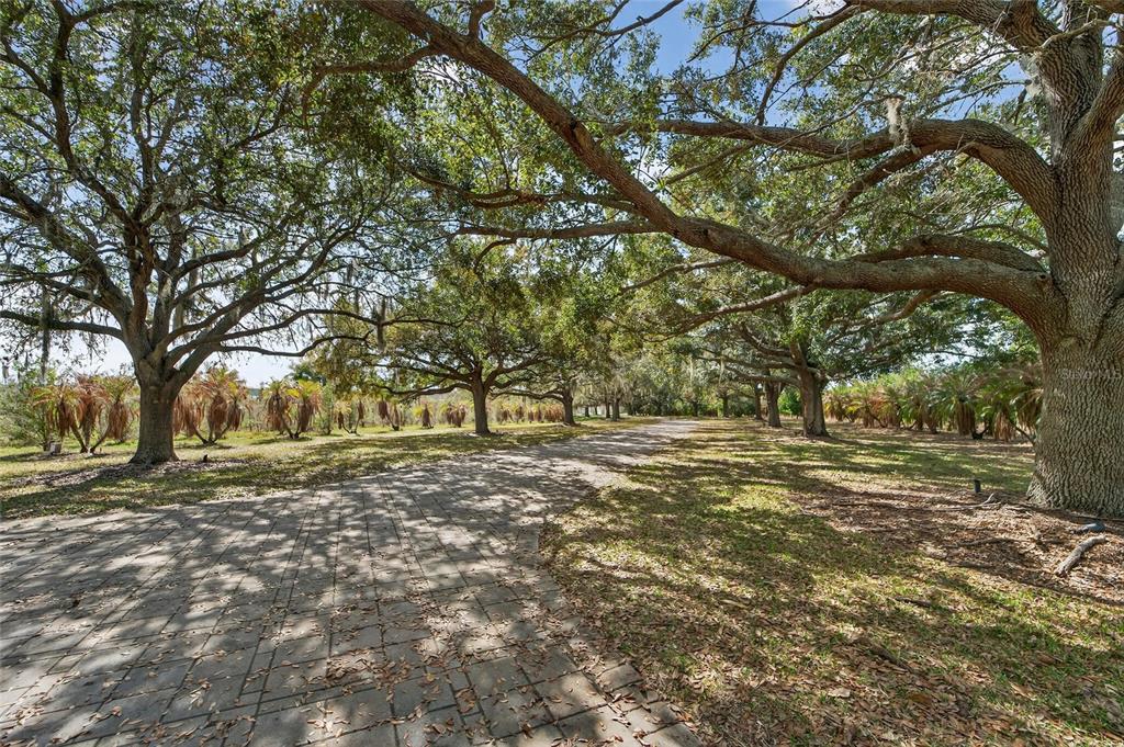 501 Adams Barn Road Auburndale, FL 33823 - Photo 86 of 97