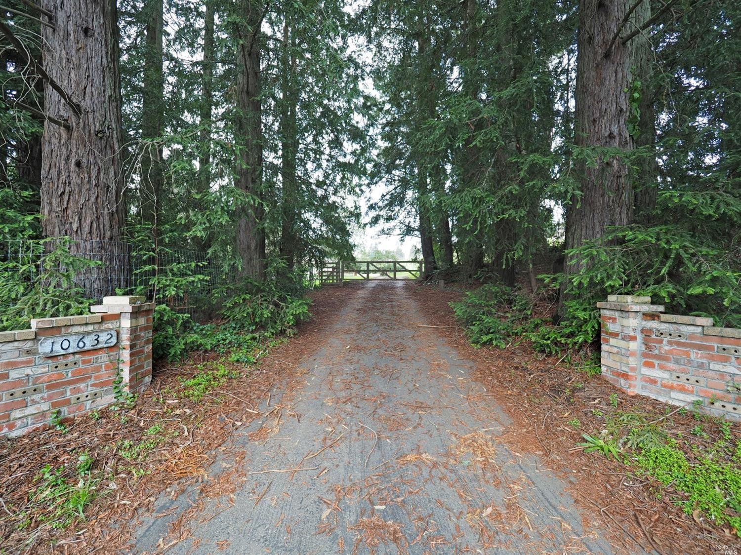 10632 Occidental Road Sebastopol, CA 95472 - Photo 1 of 1 a view of a yard with plants and trees
