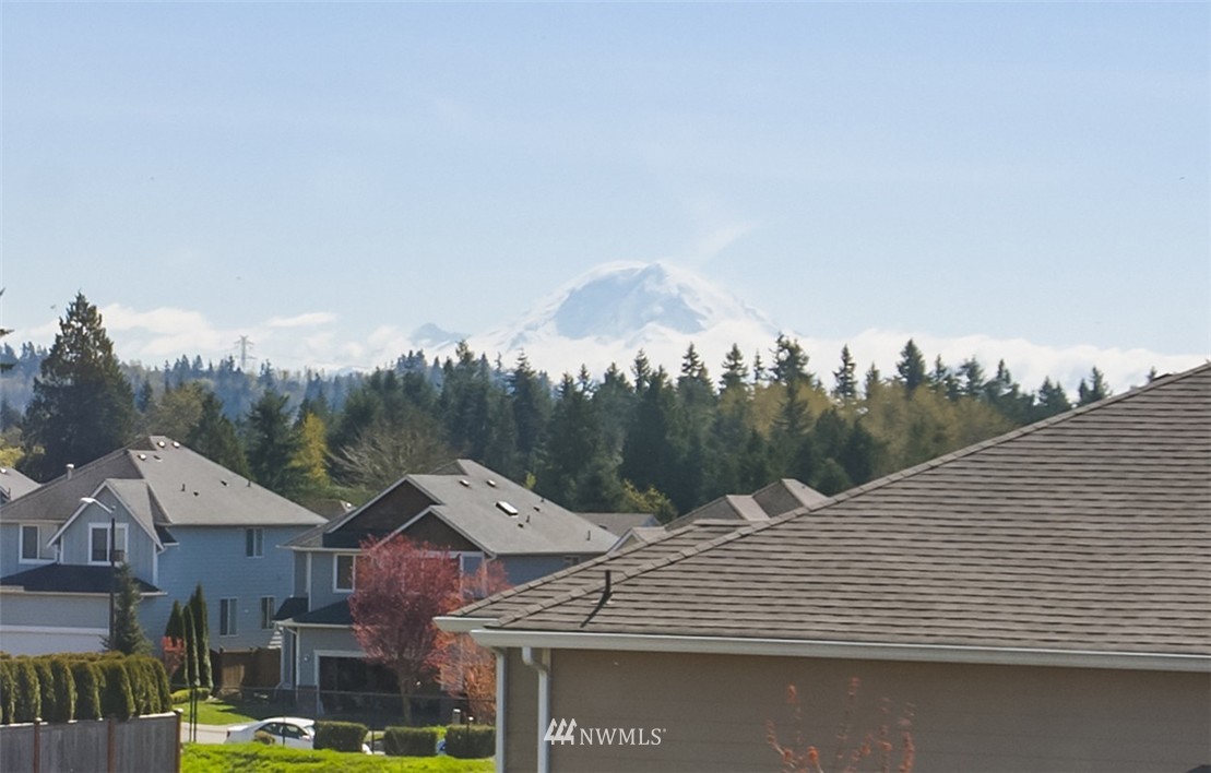 6100 Southeast 2nd Street Renton, WA 98059 - Photo 24 of 24 a view of a white house with a big yard and large tree