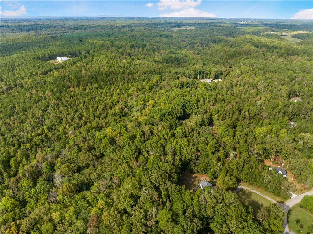 0 Craigo Road Fountain Inn, SC 29644 - Photo 3 of 6 Gallery Image 3