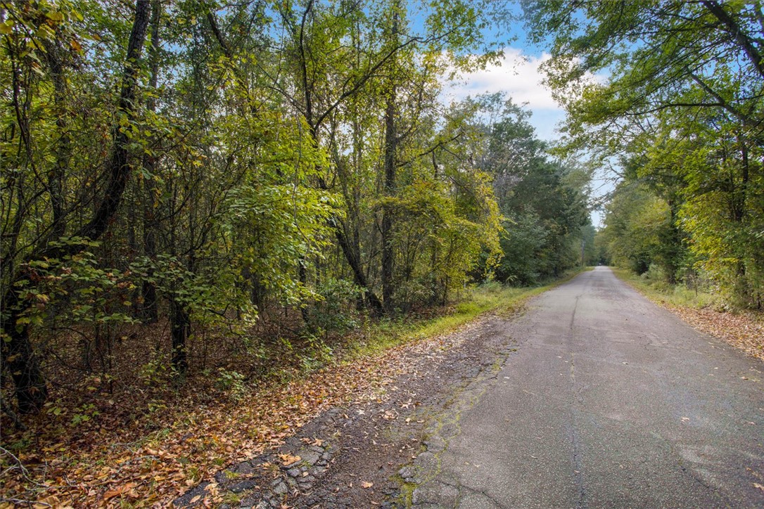 0 Craigo Road Fountain Inn, SC 29644 - Photo 5 of 6 Gallery Image 5