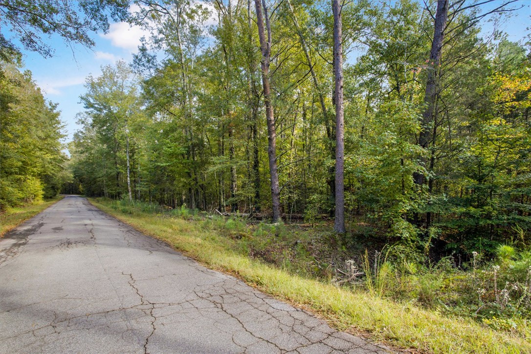 0 Craigo Road Fountain Inn, SC 29644 - Photo 6 of 6 Gallery Image 6