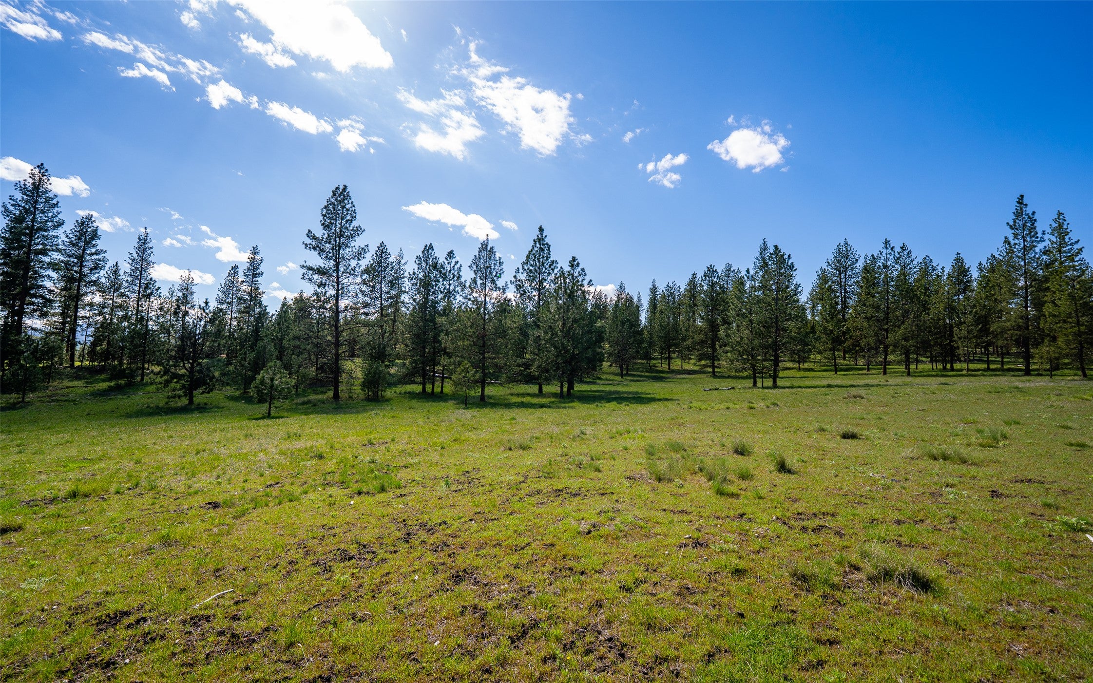 3605 Hubbart Dam Road Marion, MT 59925 - Photo 9 of 28 Gallery Image 9