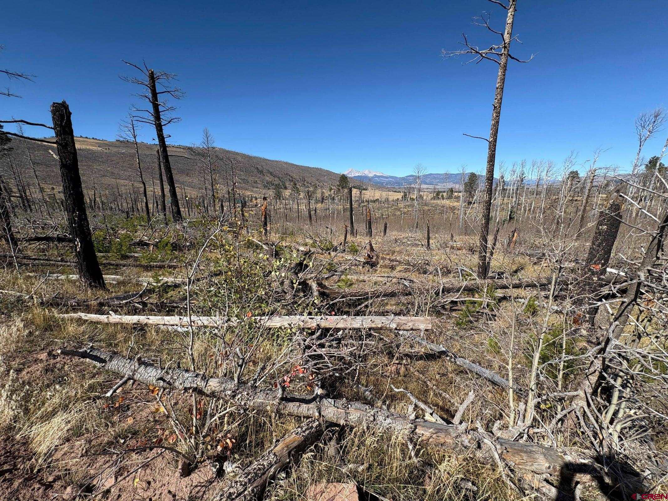 1070 Reed Lane Fort Garland, CO 81133 - Photo 2 of 4 a view of a city with lots of tall buildings