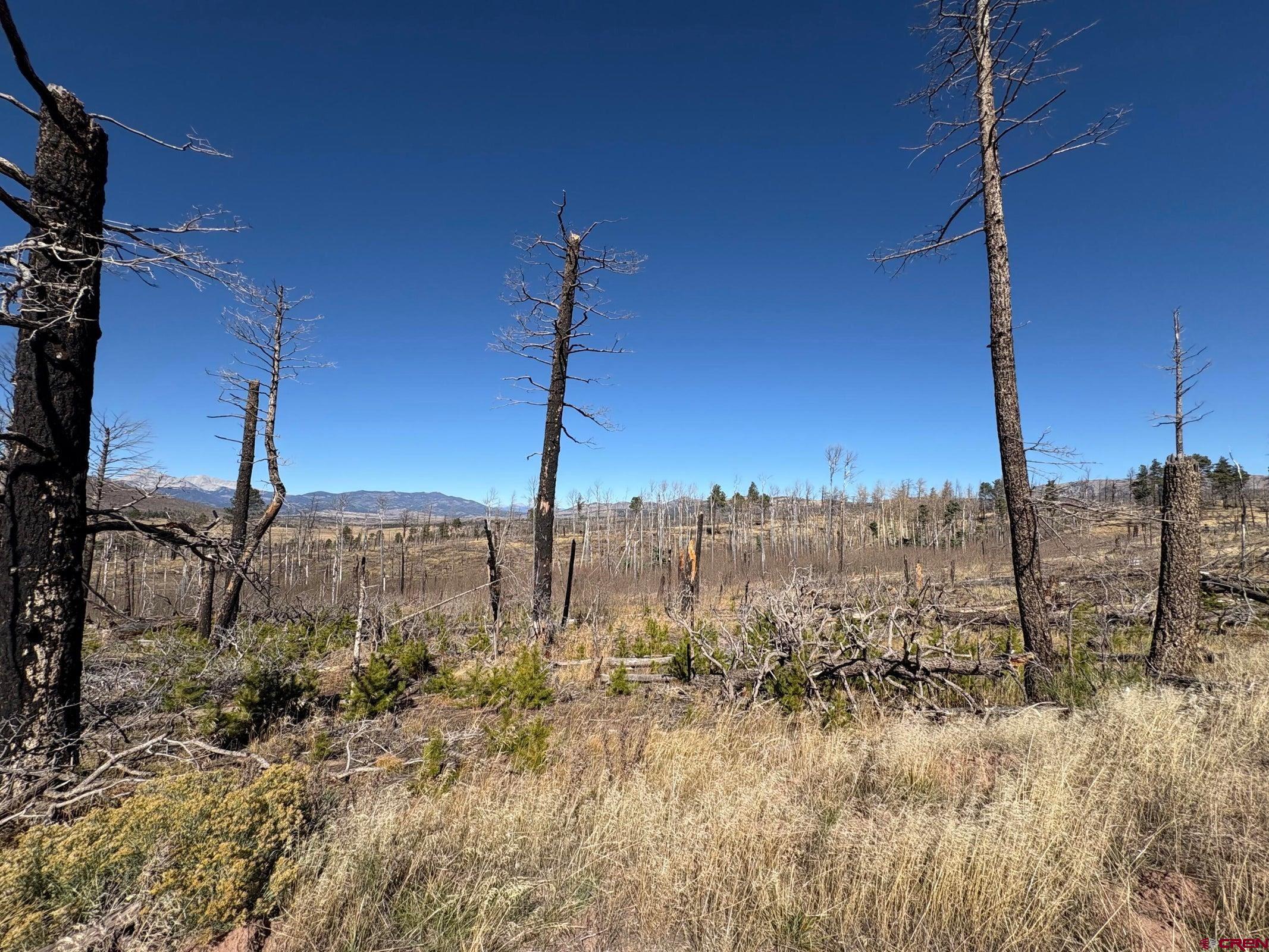 1070 Reed Lane Fort Garland, CO 81133 - Photo 3 of 4 a view of a ocean view