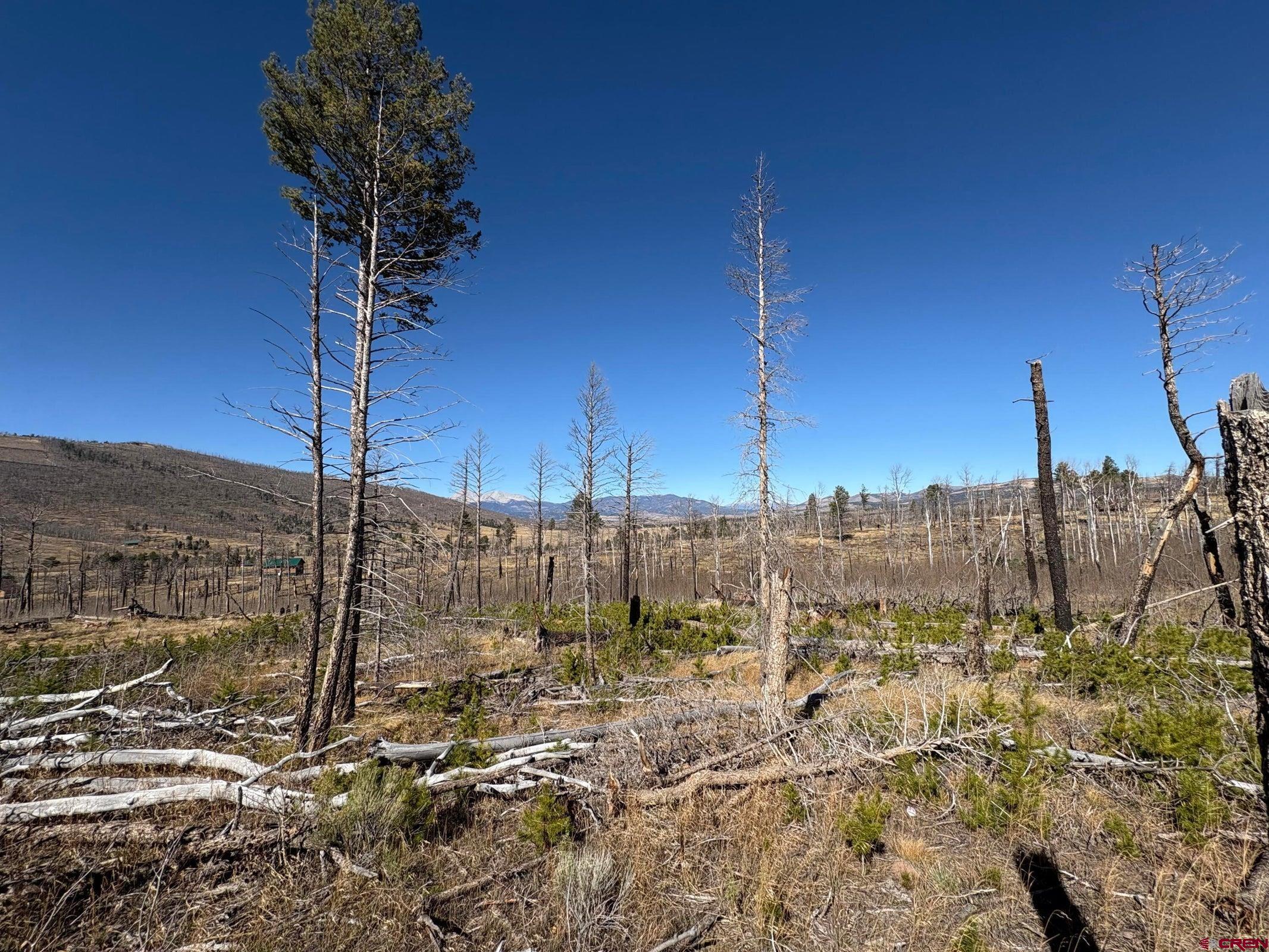 1070 Reed Lane Fort Garland, CO 81133 - Photo 4 of 4 a view of a city with tall tree