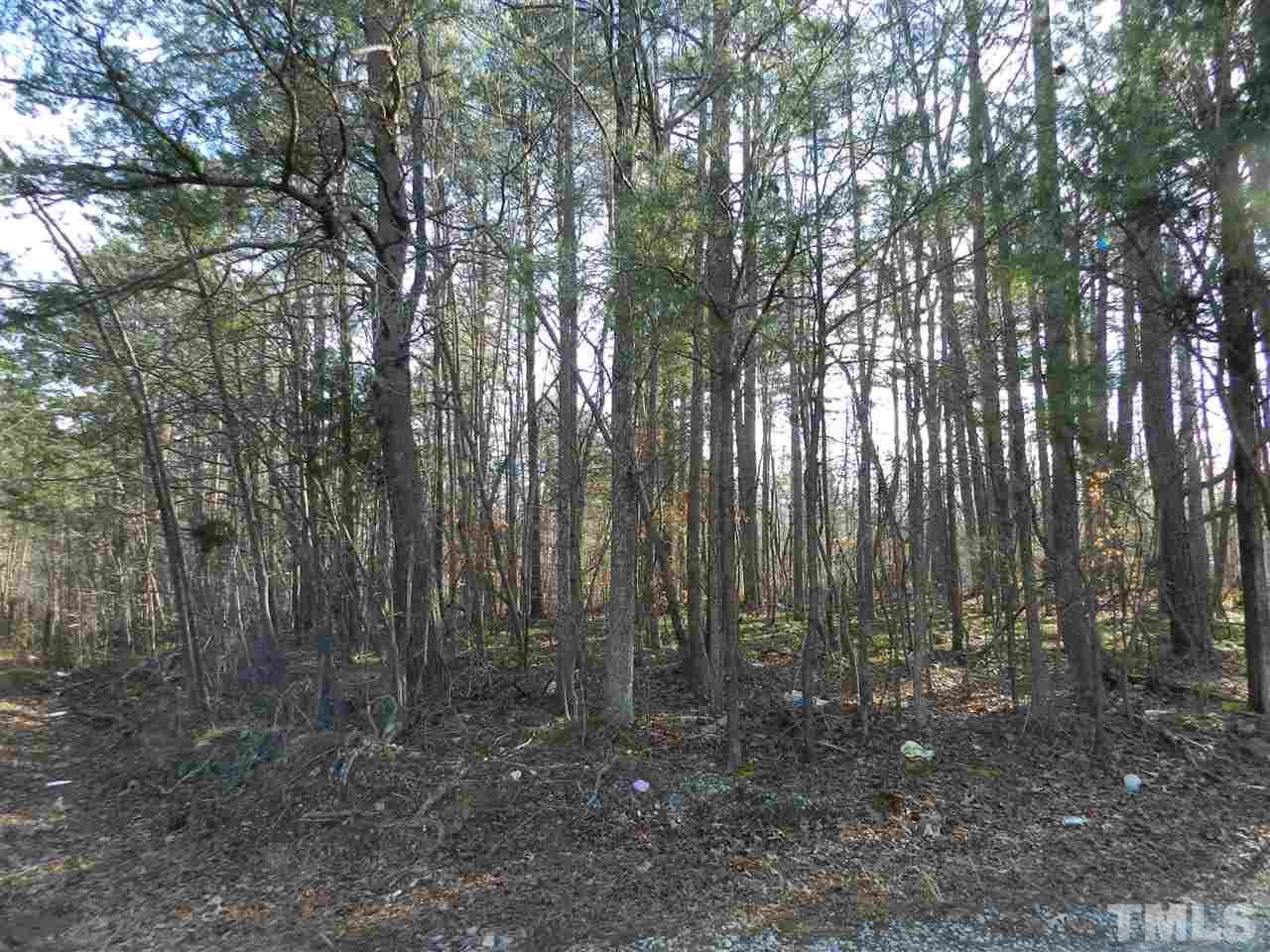 Lot 13 Hunters Circle Rougemont, NC 27572 - Photo 4 of 6 Gallery Image 4