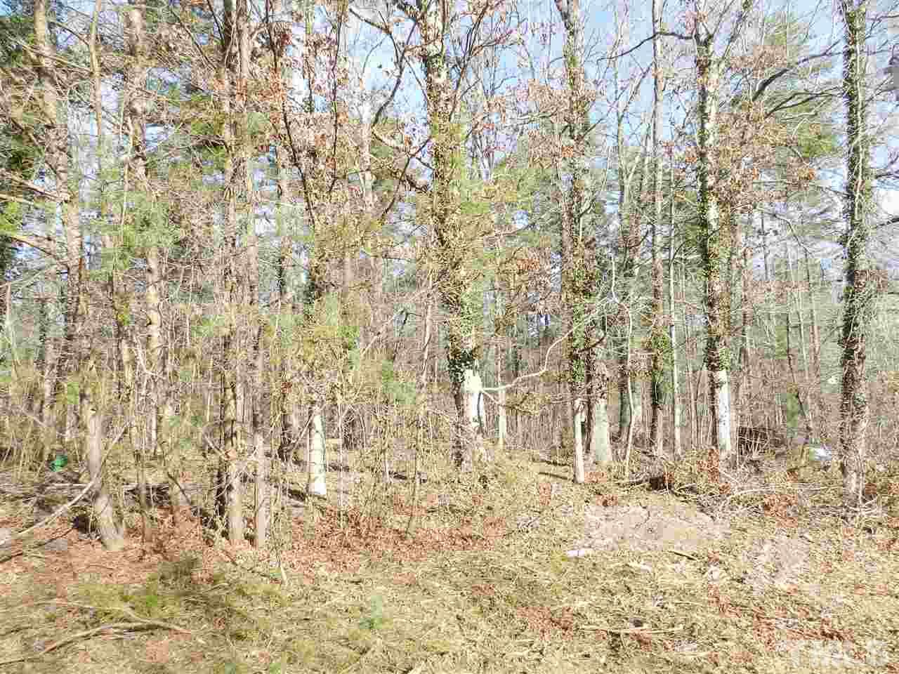 Lot 13 Hunters Circle Rougemont, NC 27572 - Photo 6 of 6 Gallery Image 6