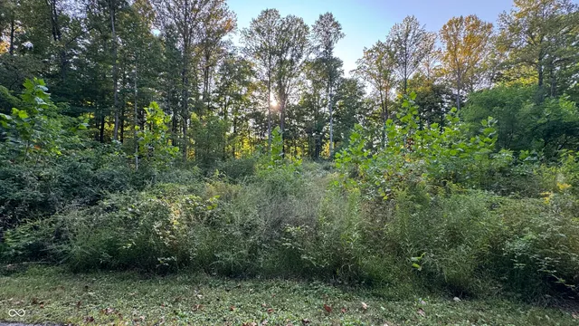 $50,000 | 0 South Paradise Bay Boulevard, Rockville, IN 47872