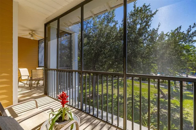 a view of a yard with plants and palm trees