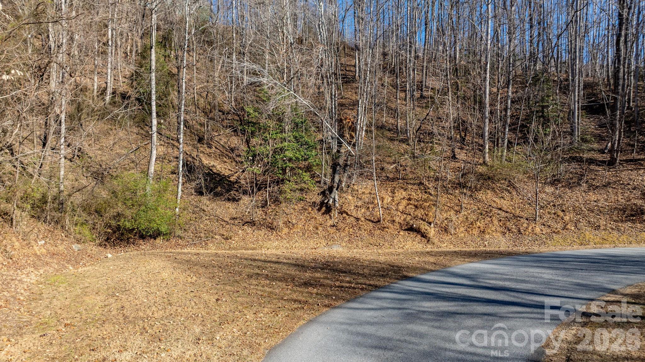 0 Round Rock Road Lenoir, NC 28645 - Photo 4 of 24 a view of a yard with wooden fence