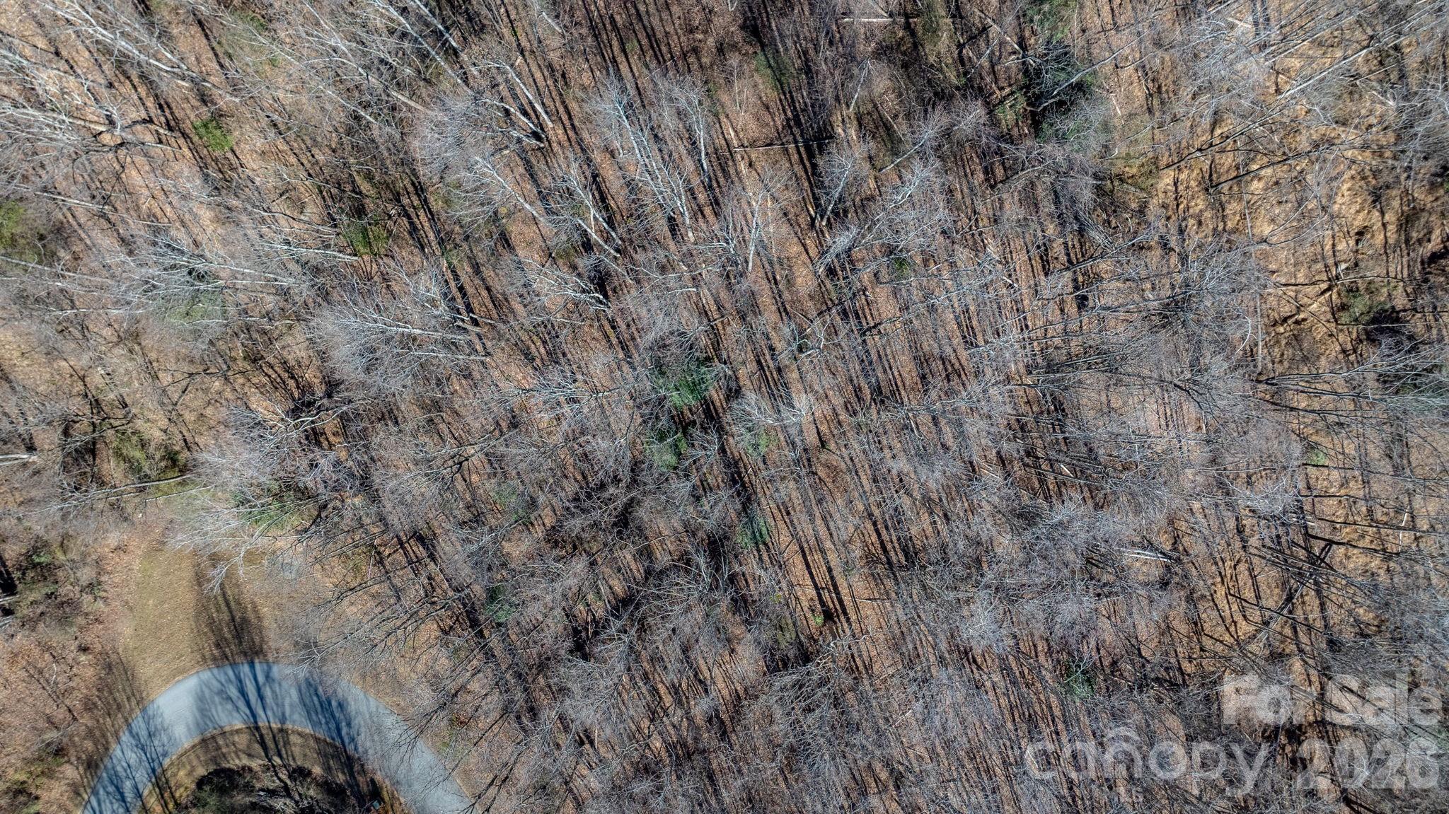 0 Round Rock Road Lenoir, NC 28645 - Photo 8 of 24 a view of a dry yard with trees