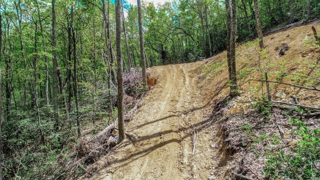 2 Rocky Ridge Road Cosby, TN 37722 - Photo 9 of 28 Gallery Image 9