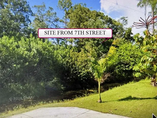 a sign that is sitting in front of a tree