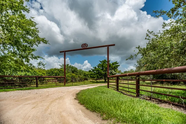 a view of park with flower plants