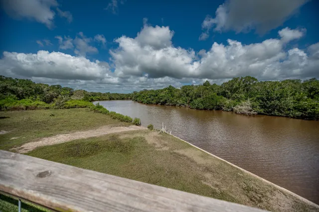 a view of a lake from a yard
