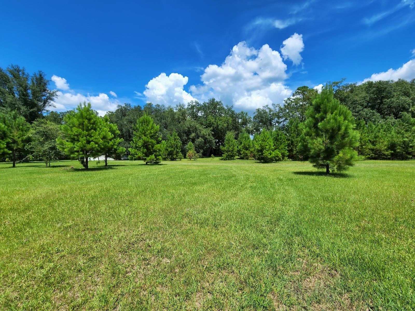 285 Elm Pinetta, FL 32350 - Photo 1 of 35