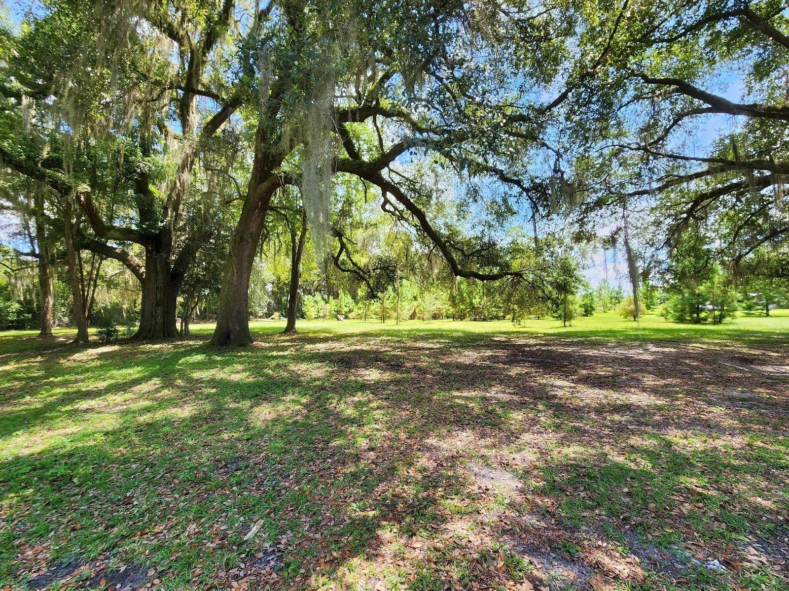 285 Elm Pinetta, FL 32350 - Photo 12 of 35