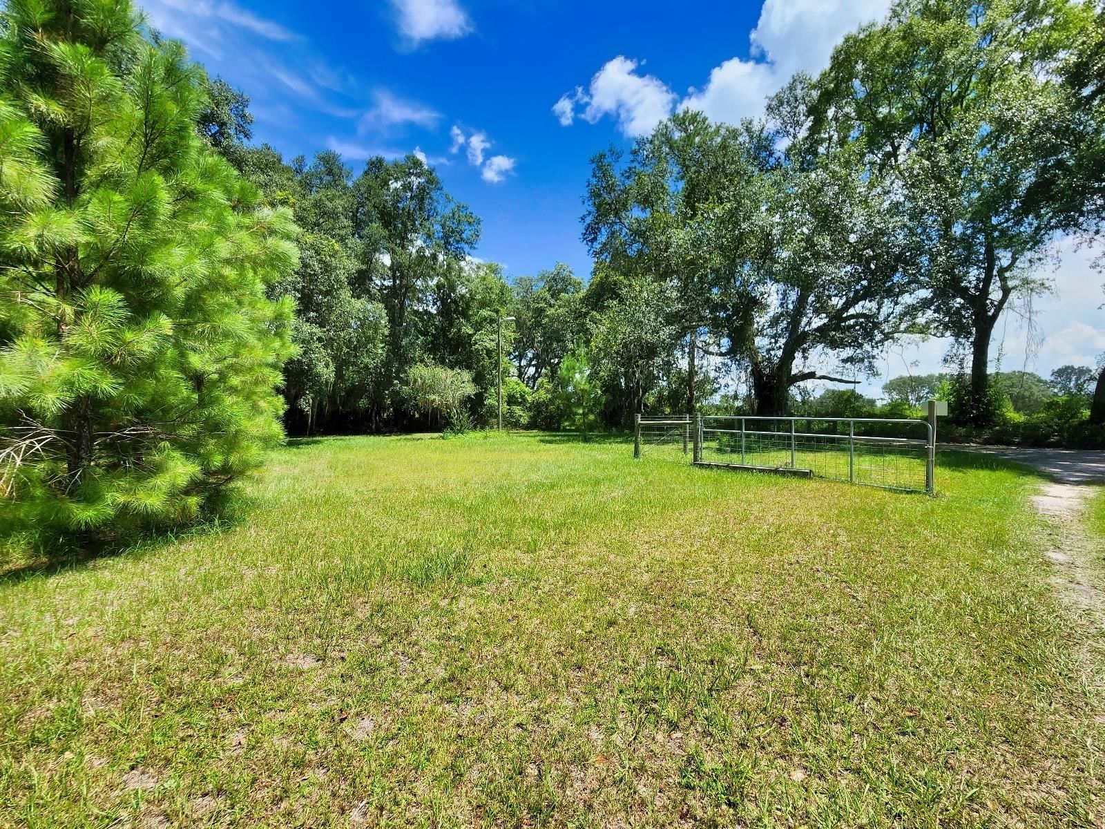 285 Elm Pinetta, FL 32350 - Photo 25 of 35