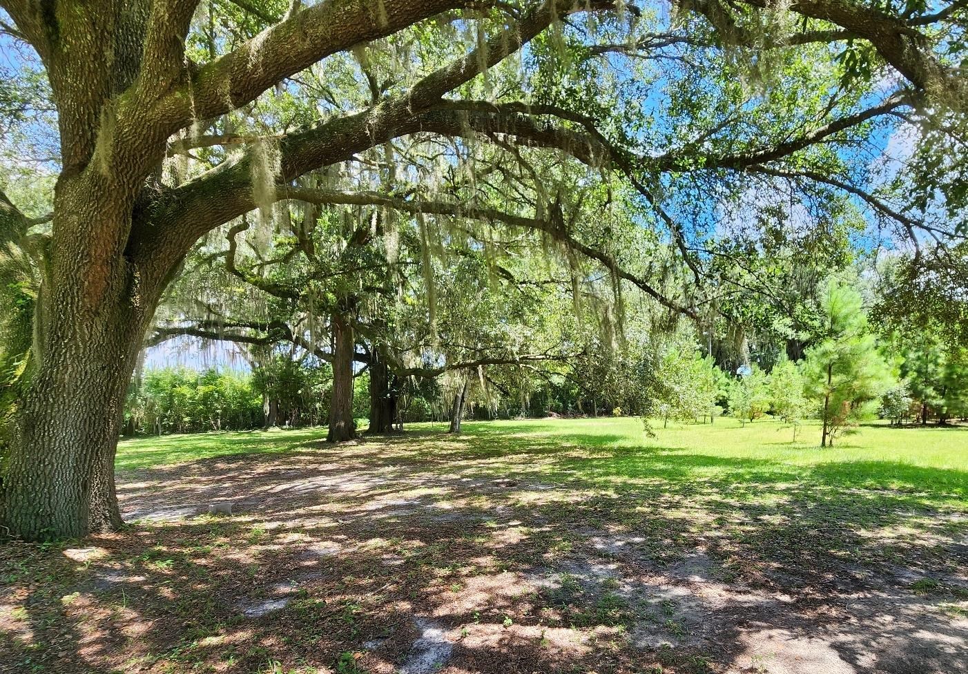 285 Elm Pinetta, FL 32350 - Photo 27 of 35