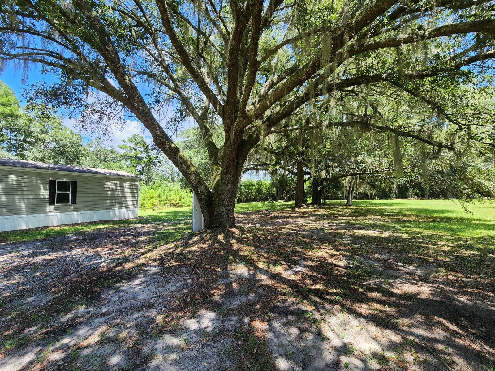 285 Elm Pinetta, FL 32350 - Photo 3 of 35