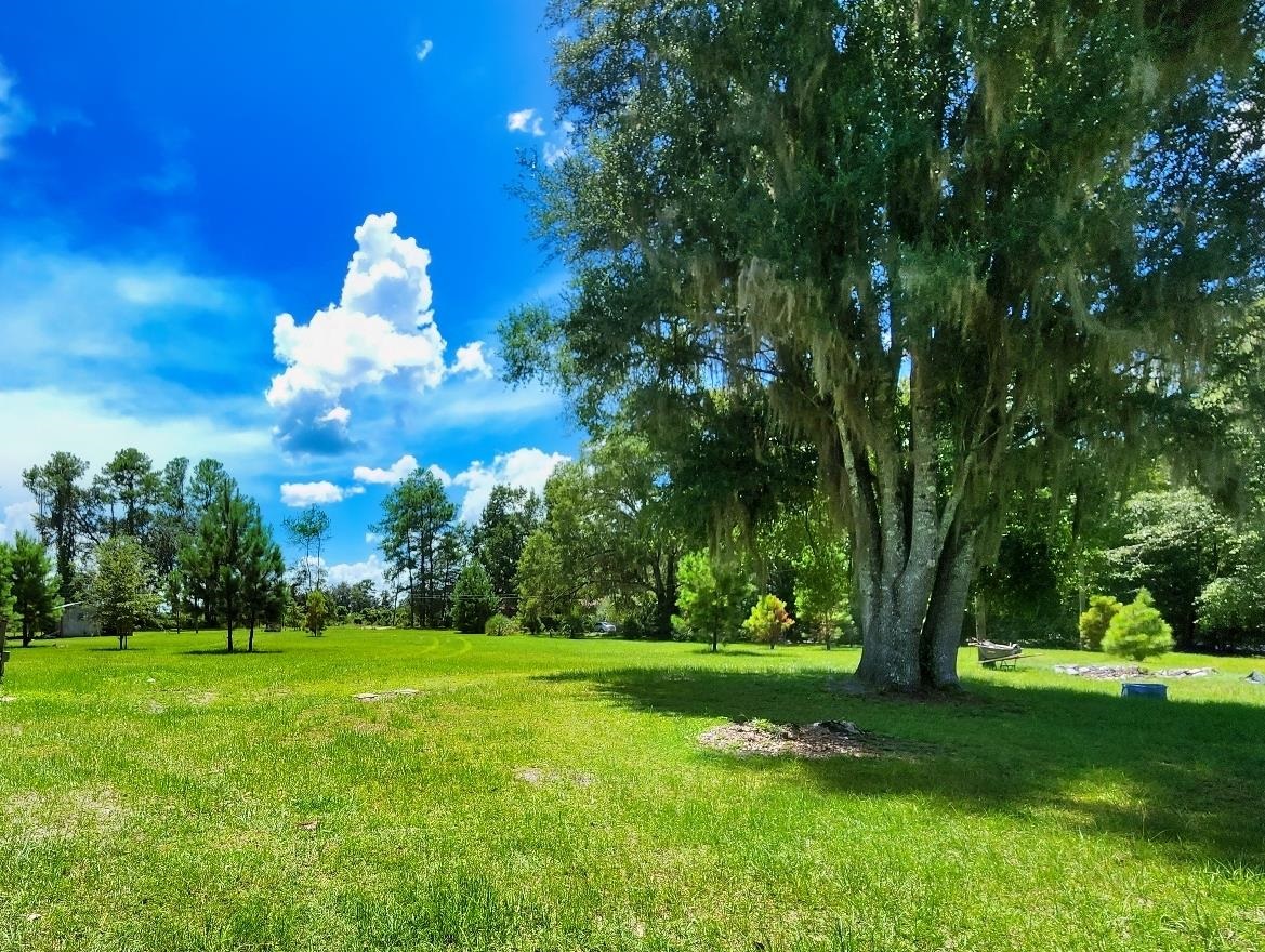 285 Elm Pinetta, FL 32350 - Photo 32 of 35