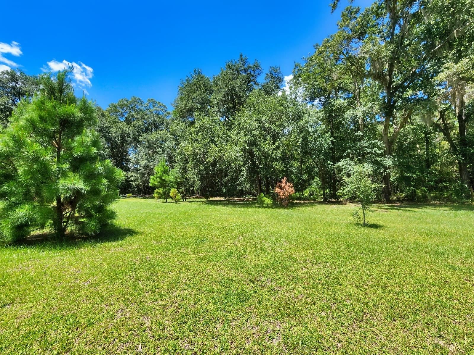 285 Elm Pinetta, FL 32350 - Photo 33 of 35