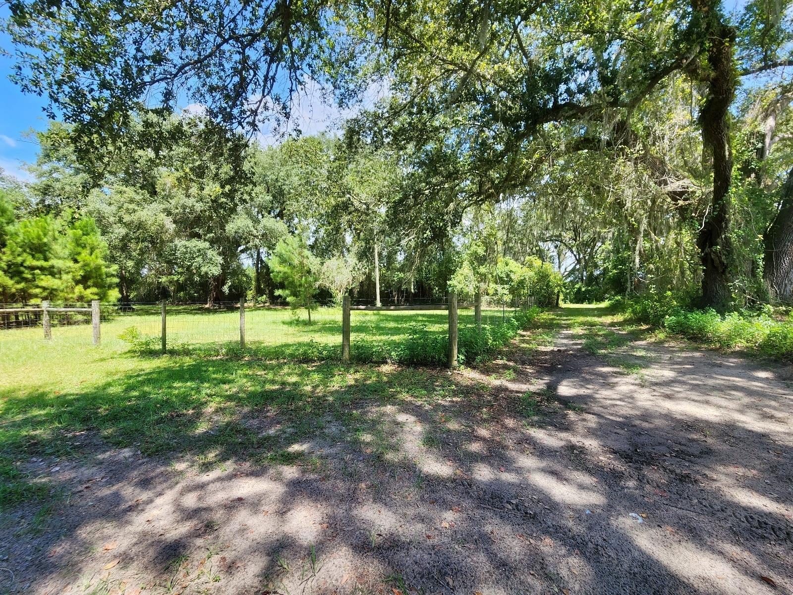 285 Elm Pinetta, FL 32350 - Photo 4 of 35