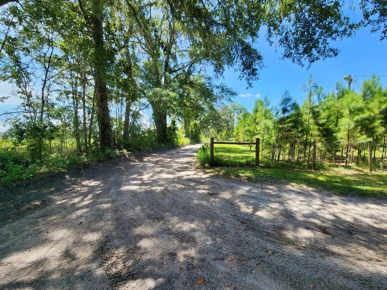 285 Elm Pinetta, FL 32350 - Photo 5 of 35