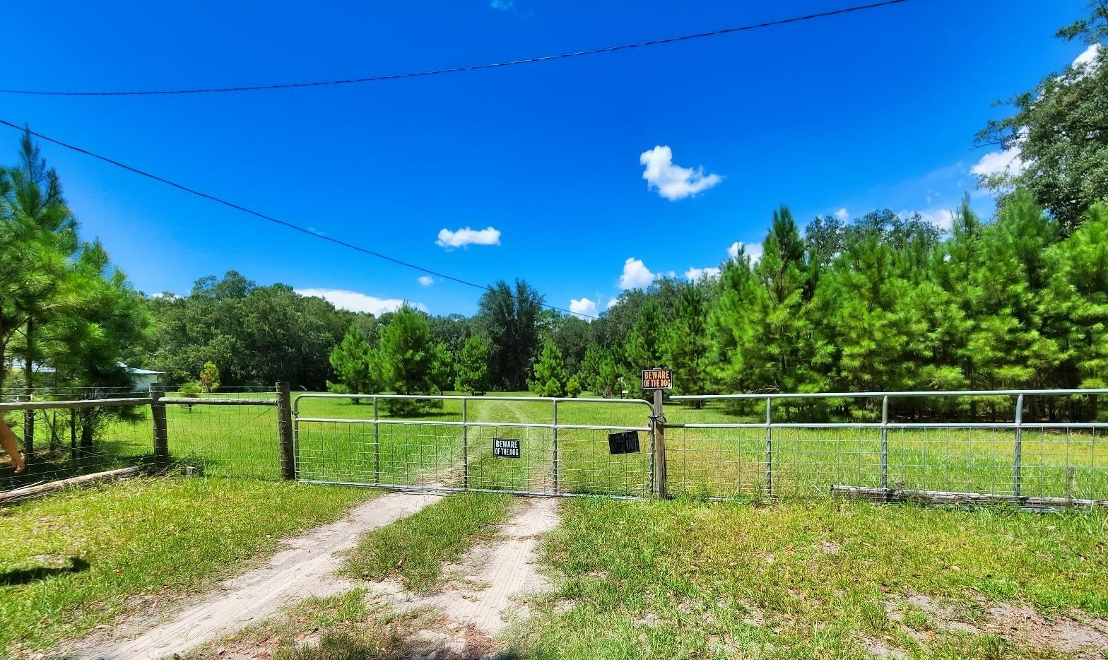 285 Elm Pinetta, FL 32350 - Photo 6 of 35