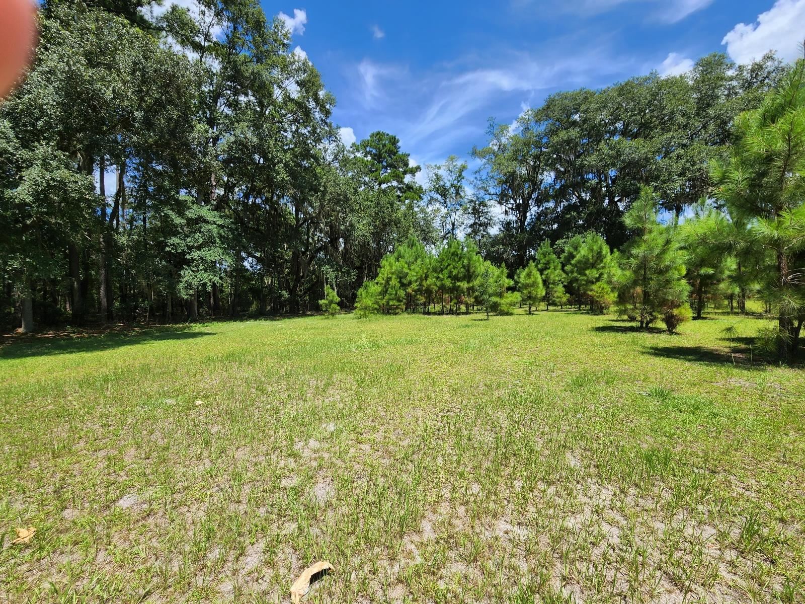 285 Elm Pinetta, FL 32350 - Photo 8 of 35